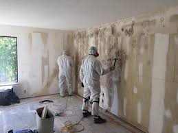 Best Post-Construction Mold Inspection  in San Elizario, TX